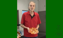 Dragon and Lotus, Fenton. Bol orangé. Achat en 1992