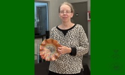 Lors de ma visite au Salon Collectionneurs St-Hyacinthe, j'ai fait la découverte de l'AVCQ.