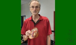 Pièce rare: #270 de Westmoreland. Compotier ambre.
Félicitations!