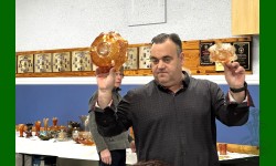 &nbsp;&nbsp;&nbsp;&nbsp;&nbsp;&nbsp;