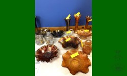 &nbsp;&nbsp;&nbsp;&nbsp;&nbsp;&nbsp;