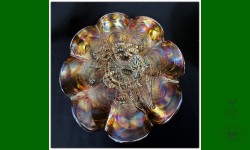 Pansy, Imperial. Bol ondulé orangé.
Irisation extraordinaire!